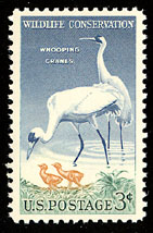 1957 US 3 Cent Wildlife Conservation Whooping Crane Postage Stamp.